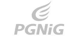 PGNiG